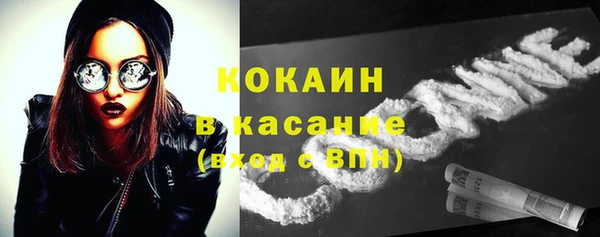 твердый Алексеевка
