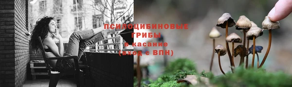 хмурый Абаза