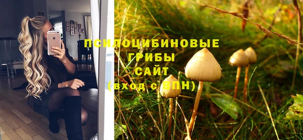 твердый Алексеевка