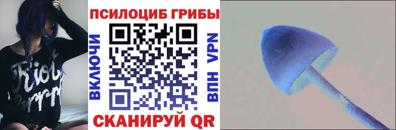 Галлюциногенные грибы Psilocybine cubensis  купить  цена  Усолье-Сибирское 